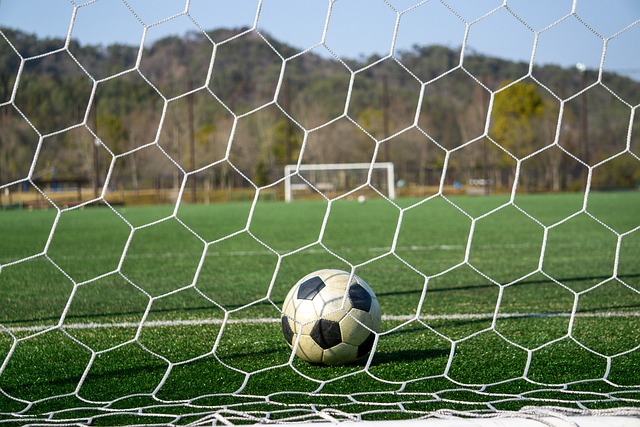 实惠合同 实惠合同