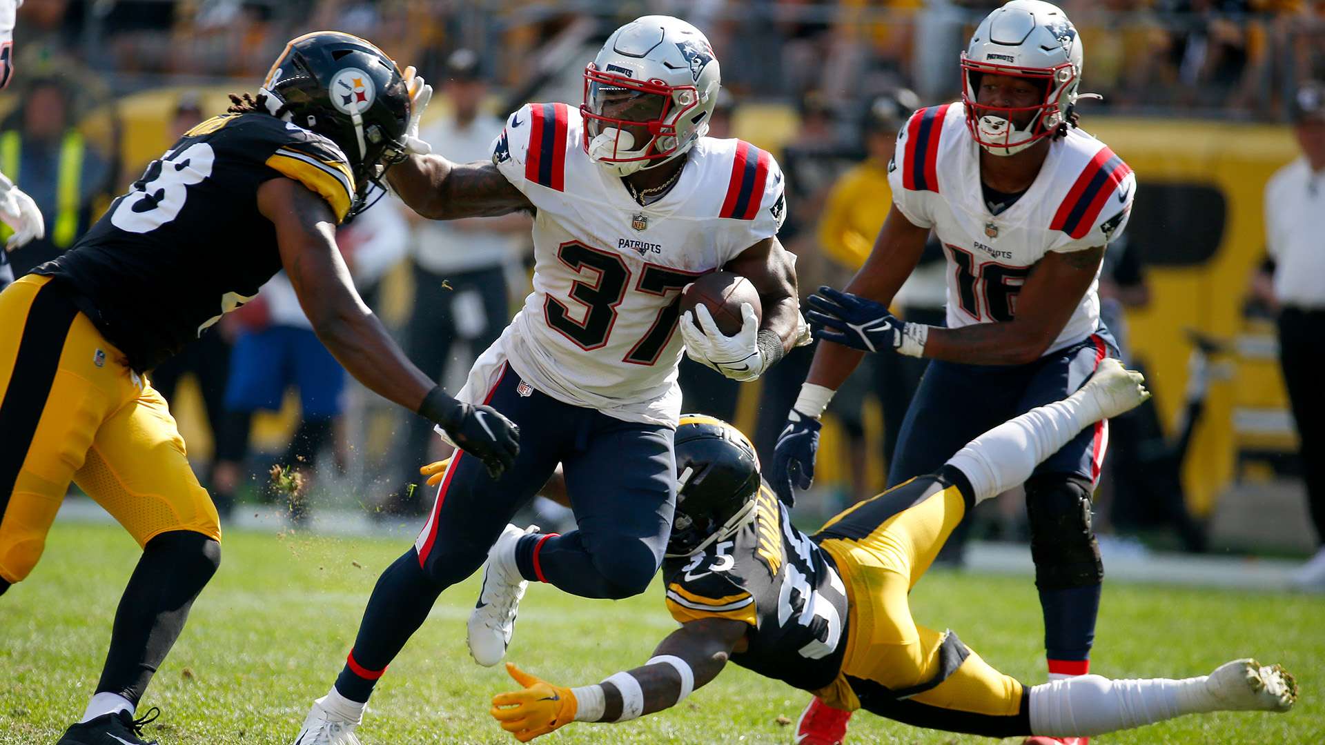 己的價值 己的價值